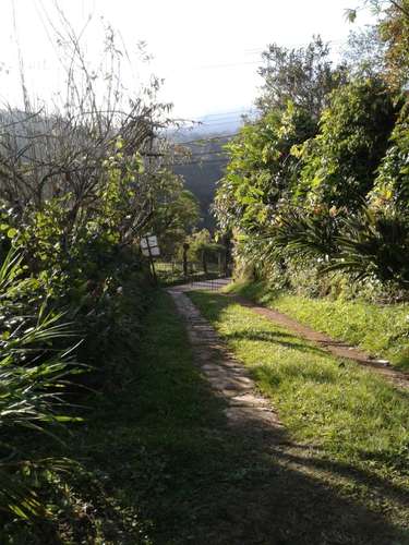 Q-104 | ¡QUINTA ESPACIOSA EN VENTA EN CAPELLADES DE CARTAGO!  - Imagen 2