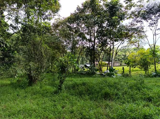 Exclusivo proyecto urbanístico en Guápiles: 54 lotes con río al fondo, vista a las montañas y fácil acceso - Imagen 10