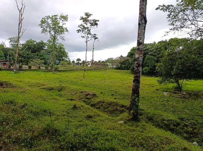 Exclusivo proyecto urbanístico en Guápiles: 54 lotes con río al fondo, vista a las montañas y fácil acceso - Imagen 8