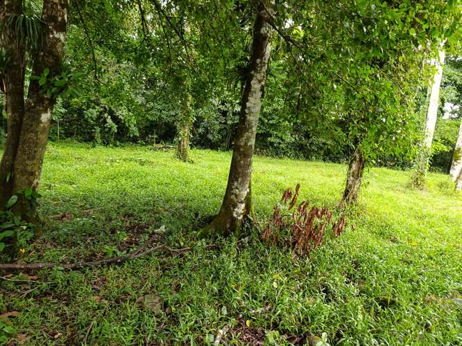 Exclusivo proyecto urbanístico en Guápiles: 54 lotes con río al fondo, vista a las montañas y fácil acceso - Imagen 7