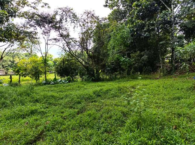 Exclusivo proyecto urbanístico en Guápiles: 54 lotes con río al fondo, vista a las montañas y fácil acceso - Imagen 11