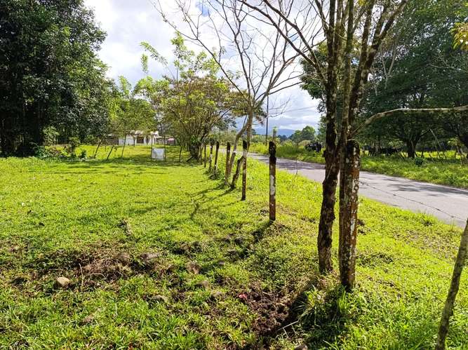 Exclusivo proyecto urbanístico en Guápiles: 54 lotes con río al fondo, vista a las montañas y fácil acceso - Imagen 12