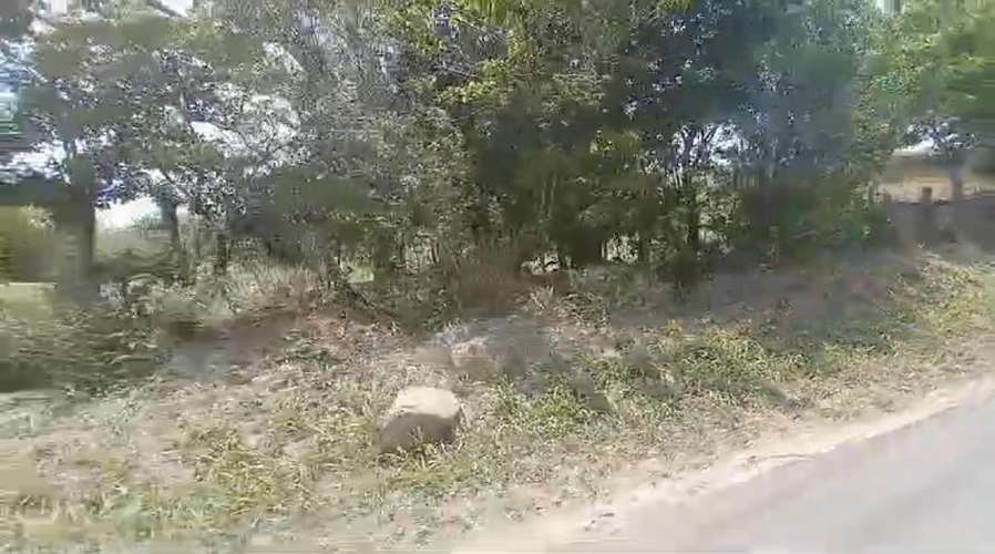 Venta de Finca en Tilarán, Guanacaste. 27-520 - Imagen 5
