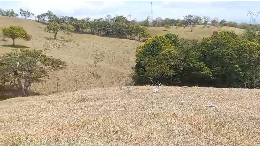 Ver lote en Guanacaste