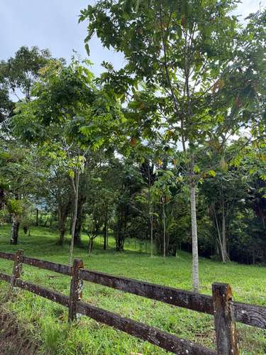 Vendo Finca Ecoresidencial Premium en Venecia de San Carlos, a 2 km del centro, todos los servicios al frente propiedad
