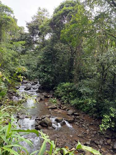 Vendo Finca Ecoresidencial Premium en Venecia de San Carlos, a 2 km del centro, todos los servicios al frente propiedad