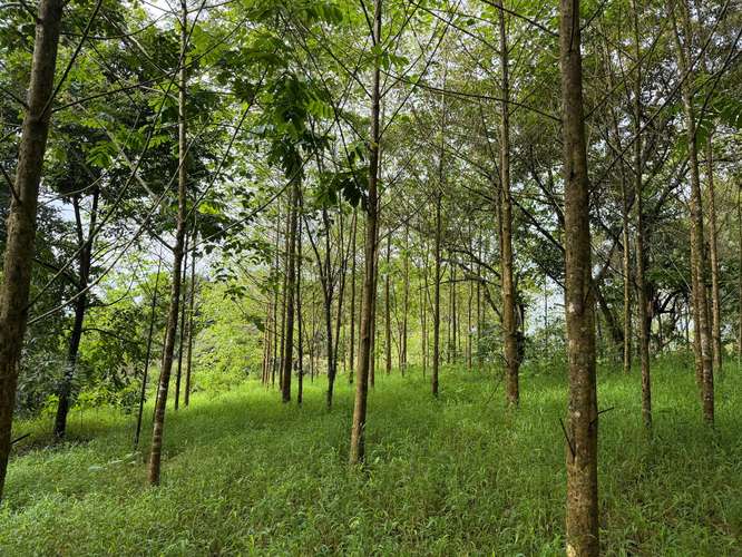 Vendo Finca Ecoresidencial Premium en Venecia de San Carlos, a 2 km del centro, todos los servicios al frente propiedad