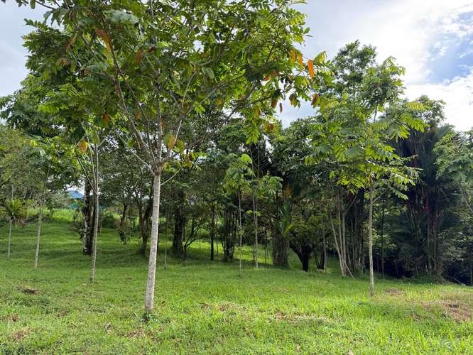 Vendo Finca Ecoresidencial Premium en Venecia de San Carlos, a 2 km del centro, todos los servicios al frente propiedad