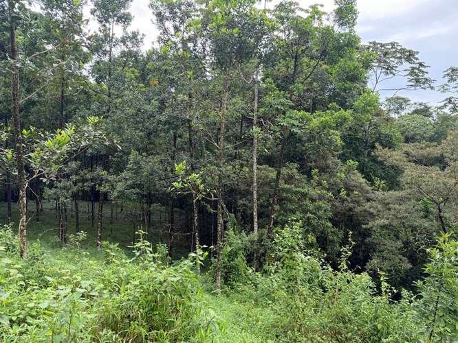 Vendo Finca Ecoresidencial Premium en Venecia de San Carlos, a 2 km del centro, todos los servicios al frente propiedad