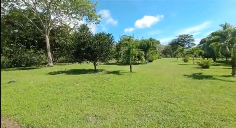 TERRENO EN VENTA EN SAN JOAQUÍN DE BARRANCA, PUNTARENAS – 4.657 m² - Imagen 9