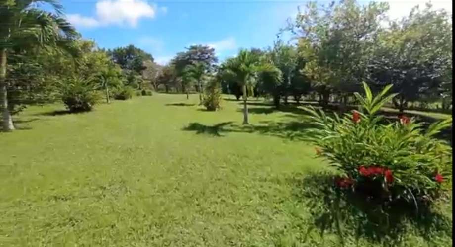 TERRENO EN VENTA EN SAN JOAQUÍN DE BARRANCA, PUNTARENAS – 4.657 m² - Imagen 8