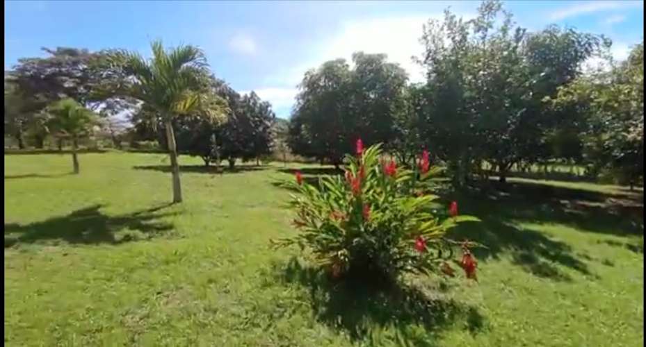 TERRENO EN VENTA EN SAN JOAQUÍN DE BARRANCA, PUNTARENAS – 4.657 m² - Imagen 12