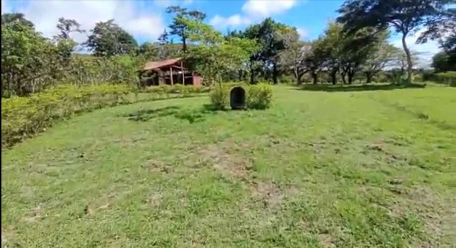 TERRENO EN VENTA EN SAN JOAQUÍN DE BARRANCA, PUNTARENAS – 4.657 m² - Imagen 6