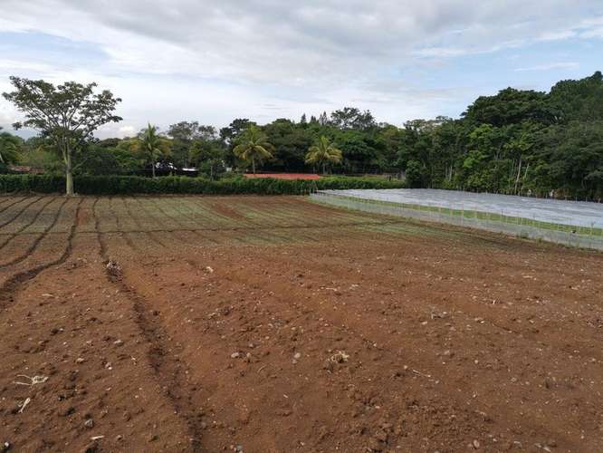 Venta de Lote en San Rafael de Alajuela. 27-539 INVERSIÓN - Imagen 3