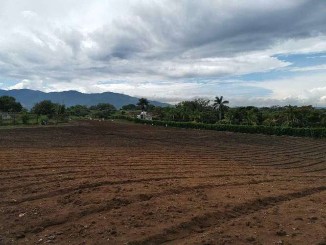 Venta de Lote en San Rafael de Alajuela. 27-539 INVERSIÓN - Imagen 6