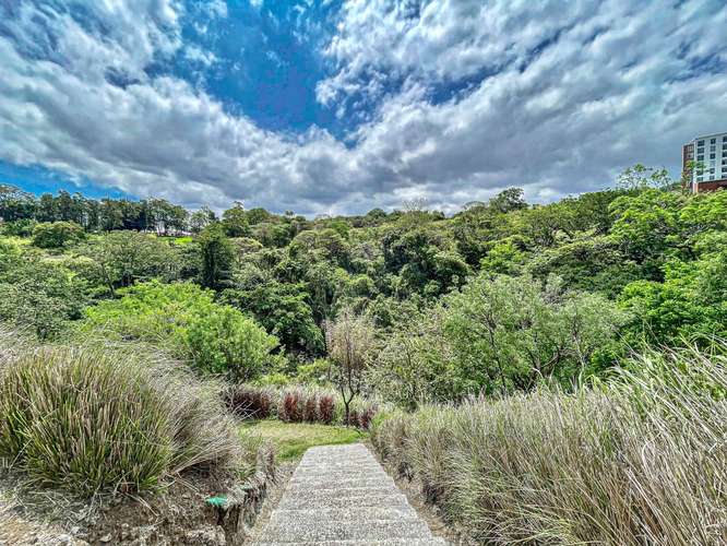 Condo Apartment Paradisus 12 |  Panoramic Views & Turnkey Investment - Imagen 20