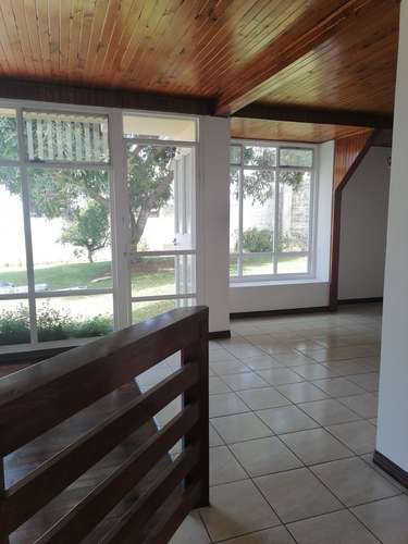 Hermosa y espectacular casa grande con patieo en renta ubicacacion inmejorable en Rohrmoser  - Imagen 5