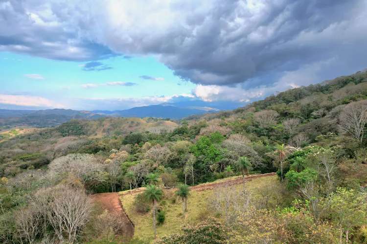 TERRENO EN VENTA EN ATENAS, PUNTARENAS - Imagen 8