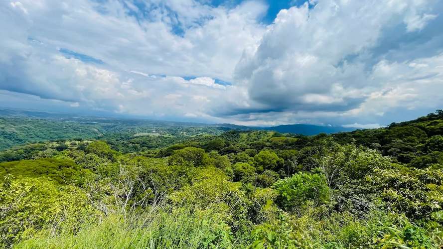 TERRENO EN VENTA EN ATENAS, PUNTARENAS - Imagen 16