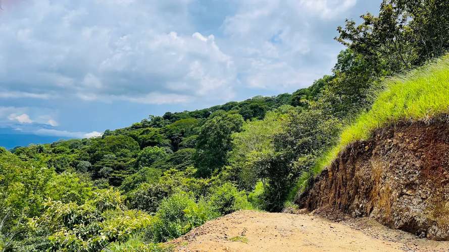 TERRENO EN VENTA EN ATENAS, PUNTARENAS - Imagen 19
