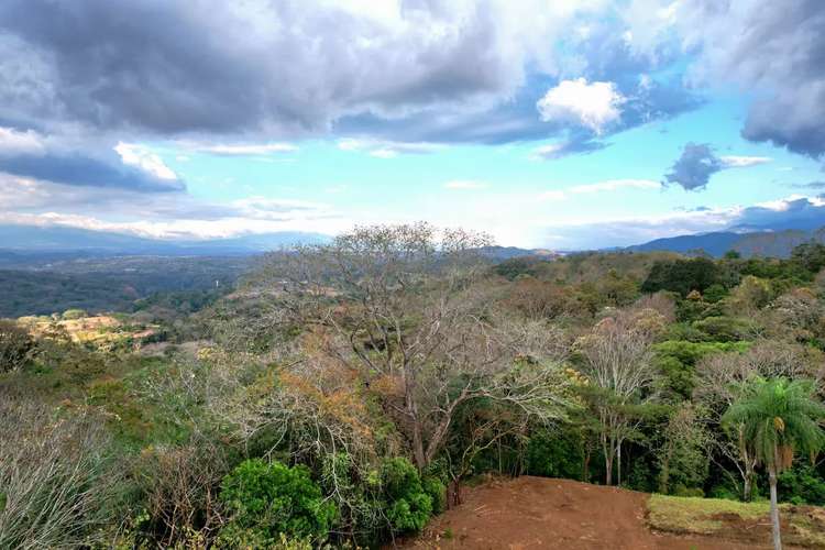 TERRENO EN VENTA EN ATENAS, PUNTARENAS - Imagen 7