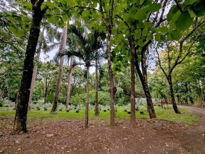Casa Amueblada en Belén de Nicoya | Zona Tranquila cerca de Playa Sámara - Imagen 15