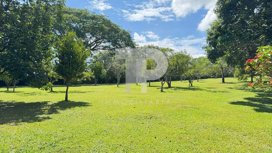 Finca en Ciudad Colón-Uso de Suelo Comercial. JRC300 - Imagen 7