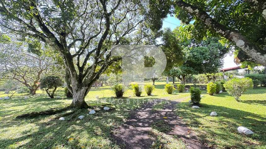 Finca en Ciudad Colón-Uso de Suelo Comercial. JRC300 - Imagen 8