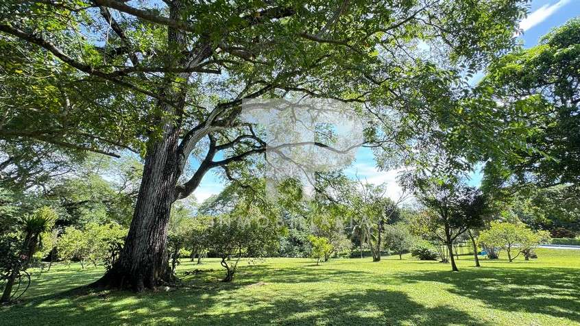 Finca en Ciudad Colón-Uso de Suelo Comercial. JRC300 - Imagen 3