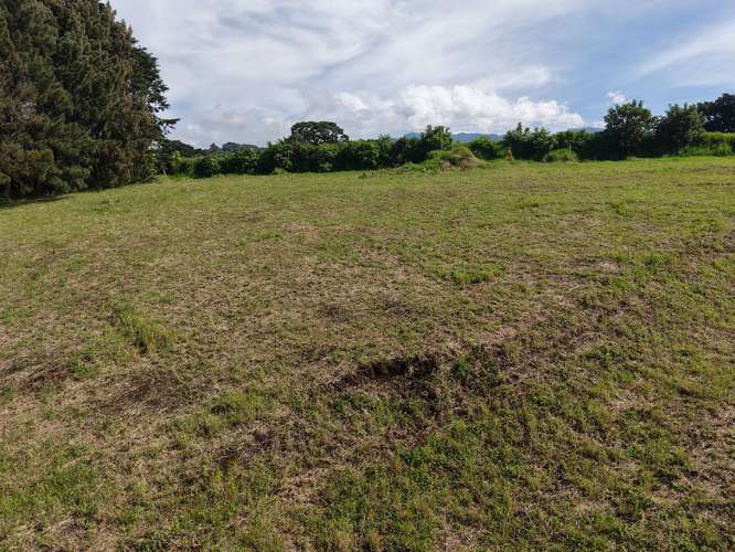 Terreno de 5.358 m² con vistas en San Nicolás, Cartago - Imagen 15