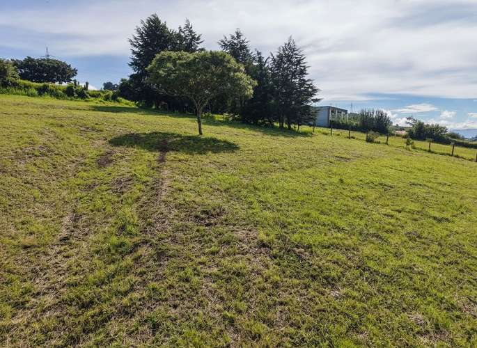 Terreno de 5.358 m² con vistas en San Nicolás, Cartago - Imagen 14