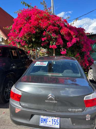 Se oyen ofertas 