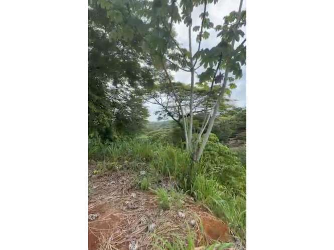 VENTA LOTE EN RESIDENCIAL EN JACO EM 1556 - Imagen 5