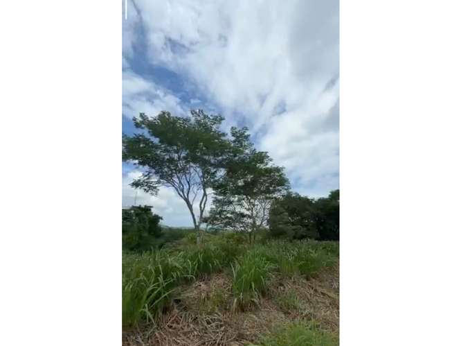VENTA LOTE EN RESIDENCIAL EN JACO EM 1556 - Imagen 9