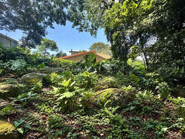 Venta de Lote en Mora-Ciudad Colón. RAH 27-1044 - Imagen 18