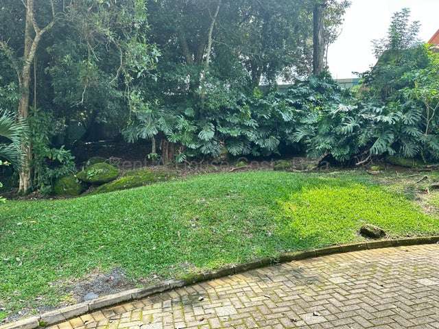 Venta de Lote en Mora-Ciudad Colón. RAH 27-1044 - Imagen 13