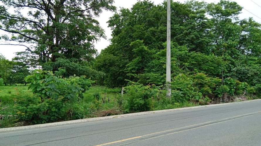 Venta de lote Santa Cruz, Guanacaste, 40.806 m² - Imagen 7