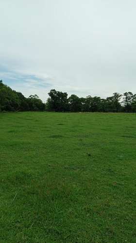 Venta de lote Santa Cruz, Guanacaste, 40.806 m² - Imagen 9
