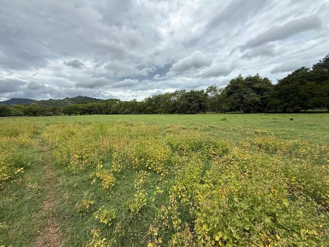 Venta de lote Santa Cruz, Guanacaste, 40.806 m² - Imagen 5
