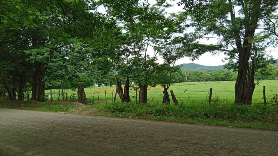 Venta de lote Santa Cruz, Guanacaste, 40.806 m² - Imagen 8
