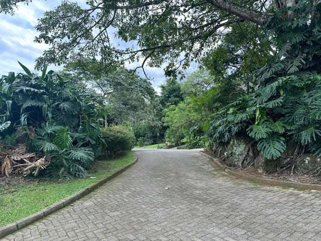 Lote en Condominio Exclusivo  - Imagen 16