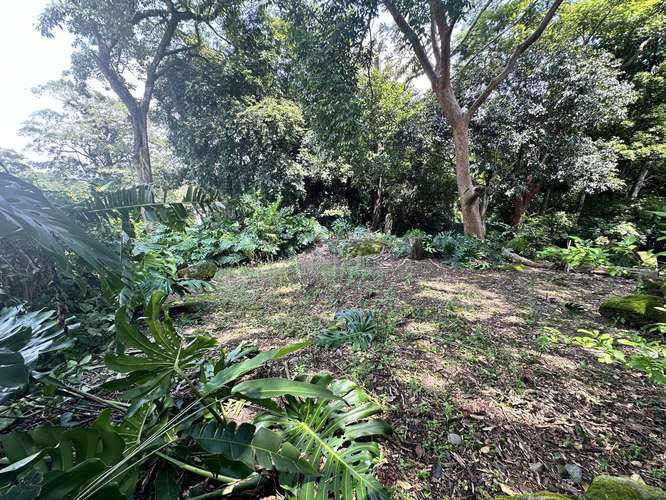 Lote en Condominio en Ciudad Colon Centro - Imagen 4