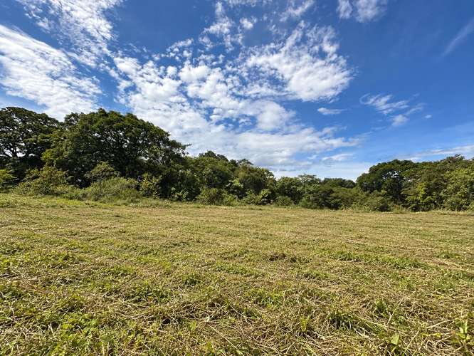 Lote en Residencial en Turrucares - Imagen 4