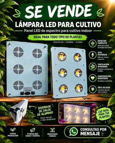Luz led