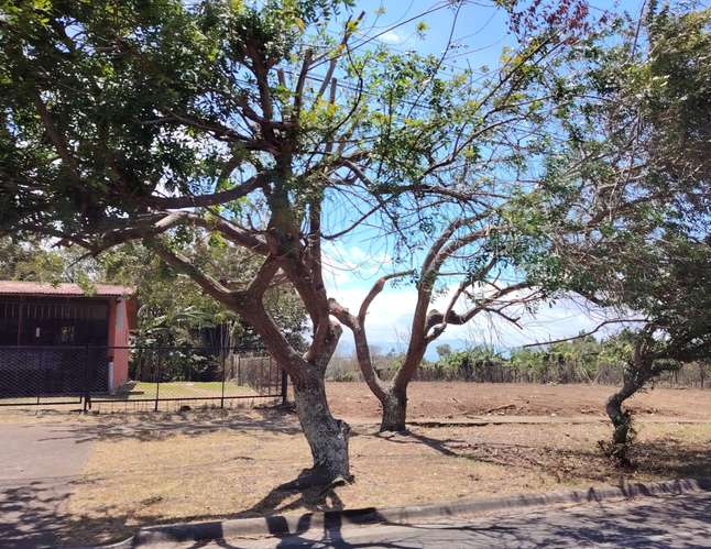 EN VENTA – LOTE EN SANTO DOMINGO - HEREDIA
