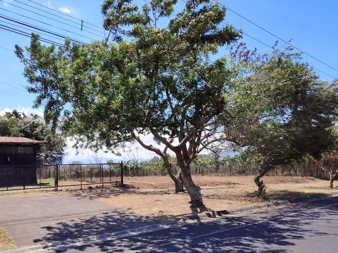 EN VENTA – LOTE EN SANTO DOMINGO - HEREDIA - Imagen 2