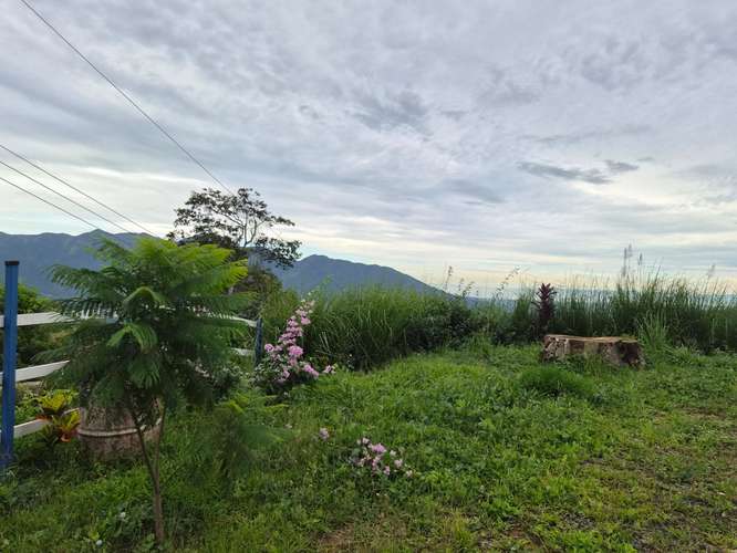 Amplios lotes con vistas al Mar (Pacífico Central) y las montañas, listos para construir  - Imagen 9