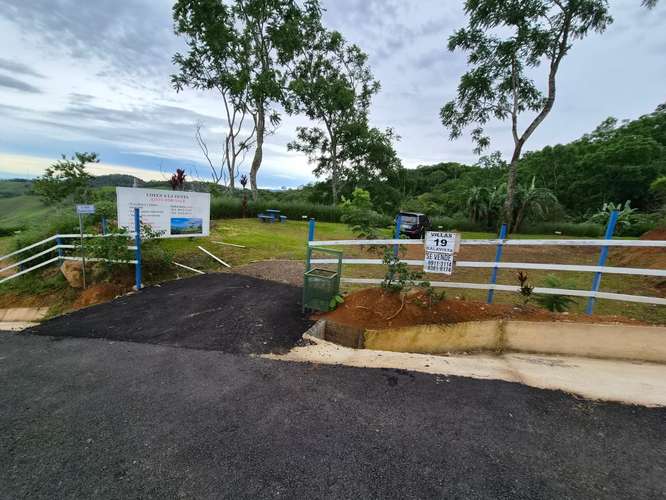 Amplios lotes con vistas al Mar (Pacífico Central) y las montañas, listos para construir  - Imagen 20
