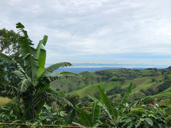 Amplios lotes con vistas al Mar (Pacífico Central) y las montañas, listos para construir  - Imagen 11