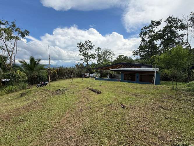 Venta de finca de cacao fino de aroma en Santa Teresita, Turrialba. - Imagen 18